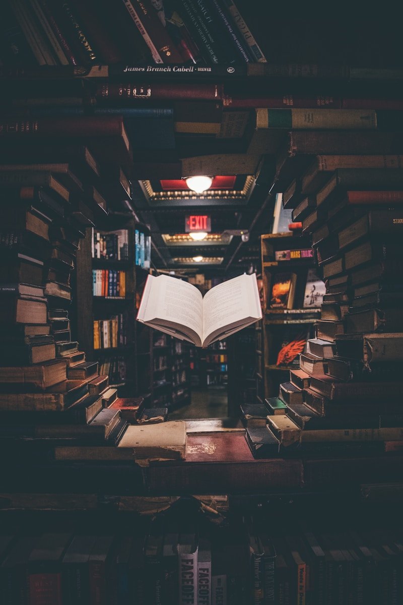 EDUCATION IRA Investment Strategy and Asset Allocation