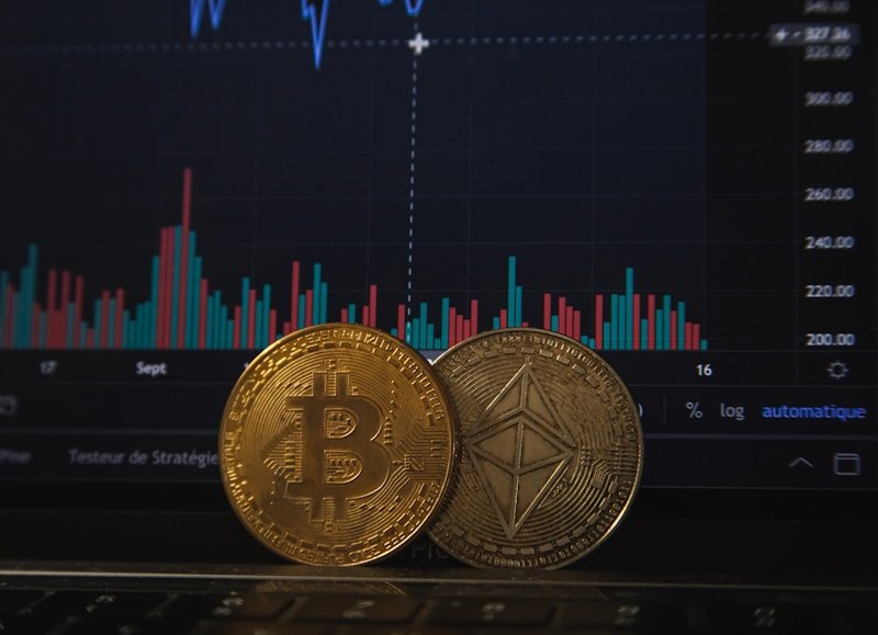 CRYPTO Risk Management and Long Term Wealth Planning